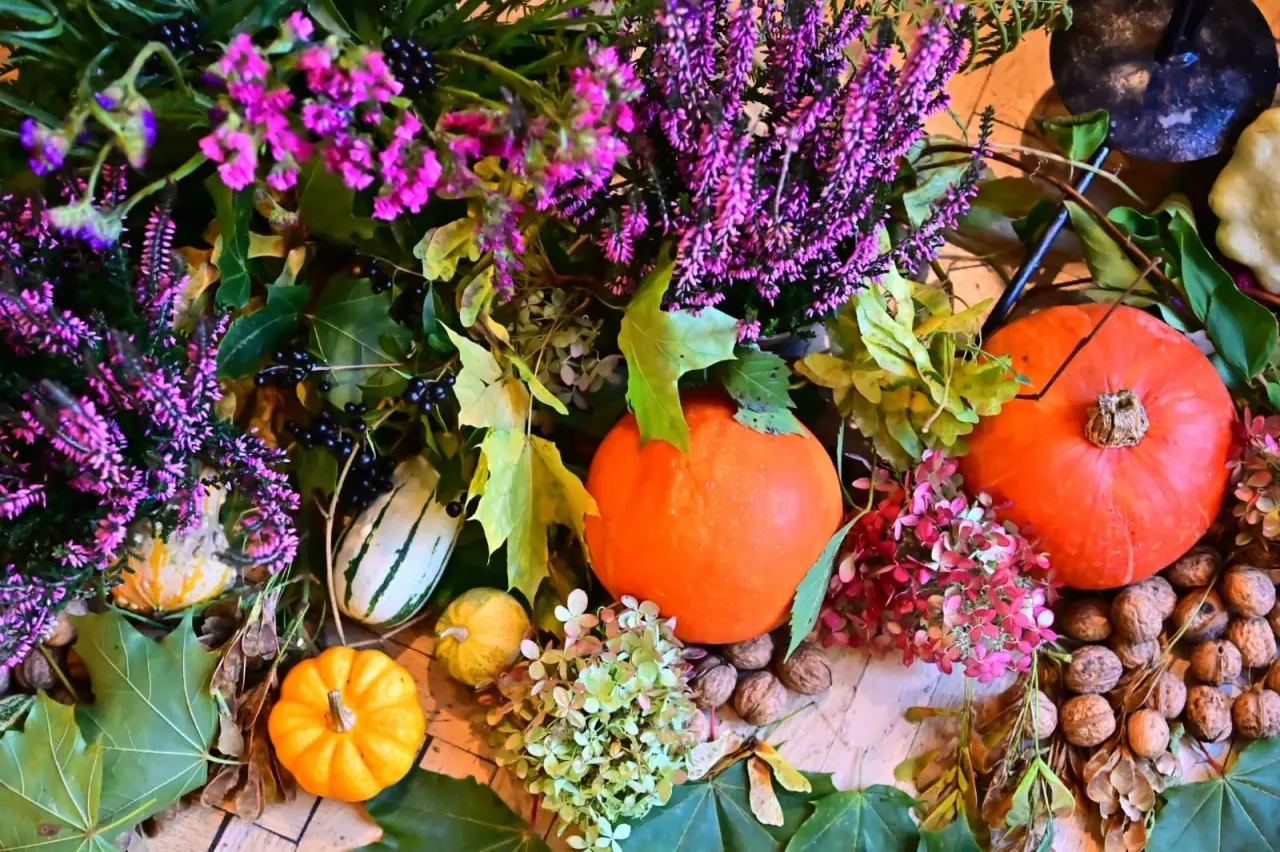 Weekend Seniora z Kulturą (46)