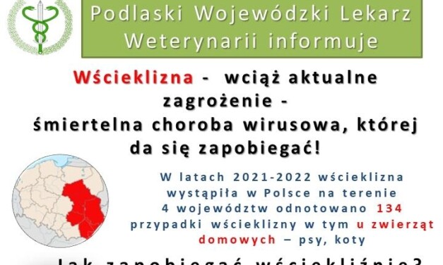 Augustów: Informacja o wyłożeniu przynęty ze szczepionką lisów jesień 2025 r.