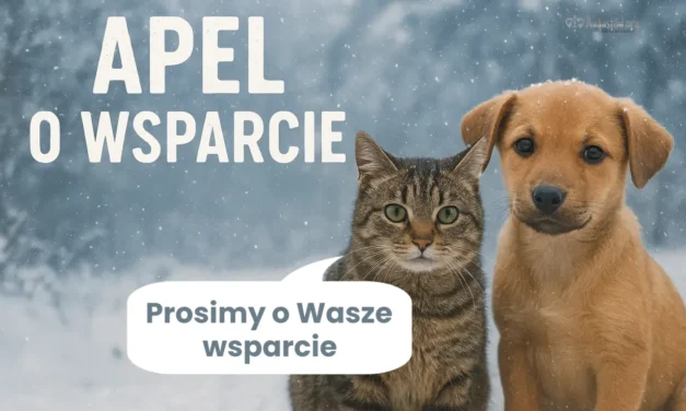 Augustów: Apel o pomoc dla Stowarzyszenia Kudłacz📢