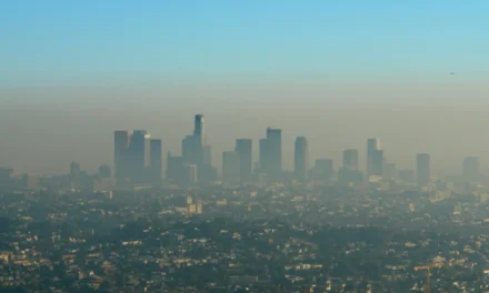 Dzień Czystego Powietrza. Czy wiesz, czym oddychasz?