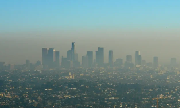 Dzień Czystego Powietrza. Czy wiesz, czym oddychasz?
