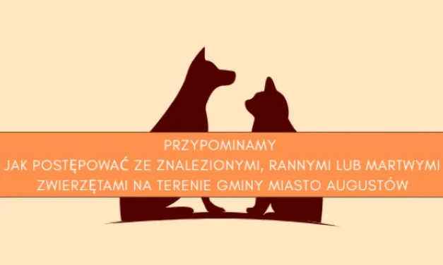 Augustów: Jak postępować ze znalezionymi, rannymi lub martwymi zwierzętami na terenie Gminy Miasto Augustów