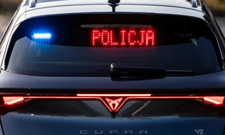 W drodze na święta – jedź rozsądnie, wróć bezpiecznie