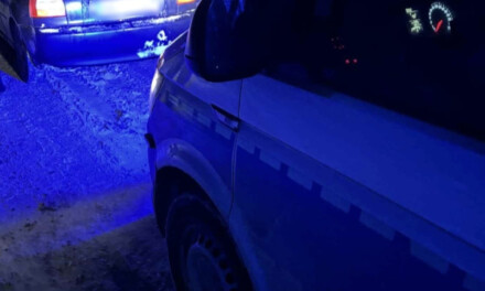 Kierował pomimo zakazu, po alkoholu i próbował oszukać policjantów