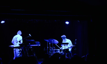 Relacja z koncertu „Zima Stulecia”