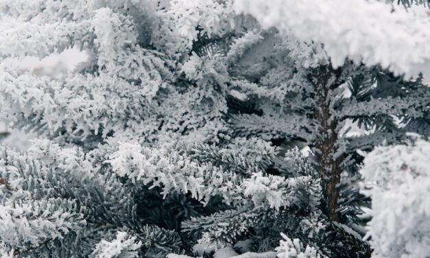 Uwaga! Śnieg na dachach.