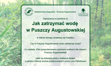 Czy w Puszczy Augustowskiej może zabraknąć wody? Leśnicy zapraszają na otwarte spotkanie