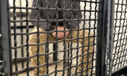 Brutalny rozbój w regionie. 37-latek w rękach policji