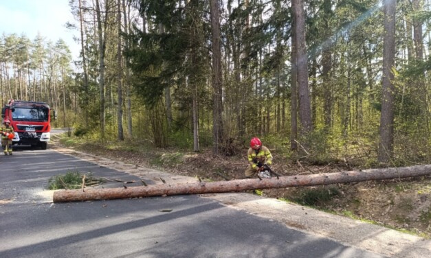 Silny wiatr nad województwem. Podsumowanie interwencji strażaków