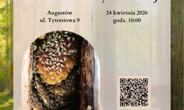 Wraca wyjątkowe miejsce w regionie! Otwarcie Muzeum Kultury Bartniczej już wkrótce