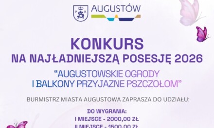 Kwiaty, balkony i ogrody dla pszczół. Miasto ogłosiło konkurs dla mieszkańców