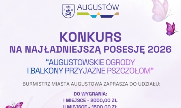 Kwiaty, balkony i ogrody dla pszczół. Miasto ogłosiło konkurs dla mieszkańców